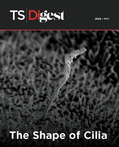 May 2024 Digest cover