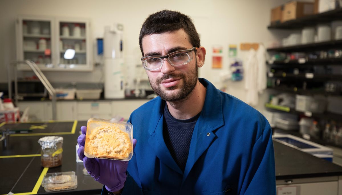 Photo of Vayu Hill-Maini in a blue lab coat holding a Neurospora mold patty.