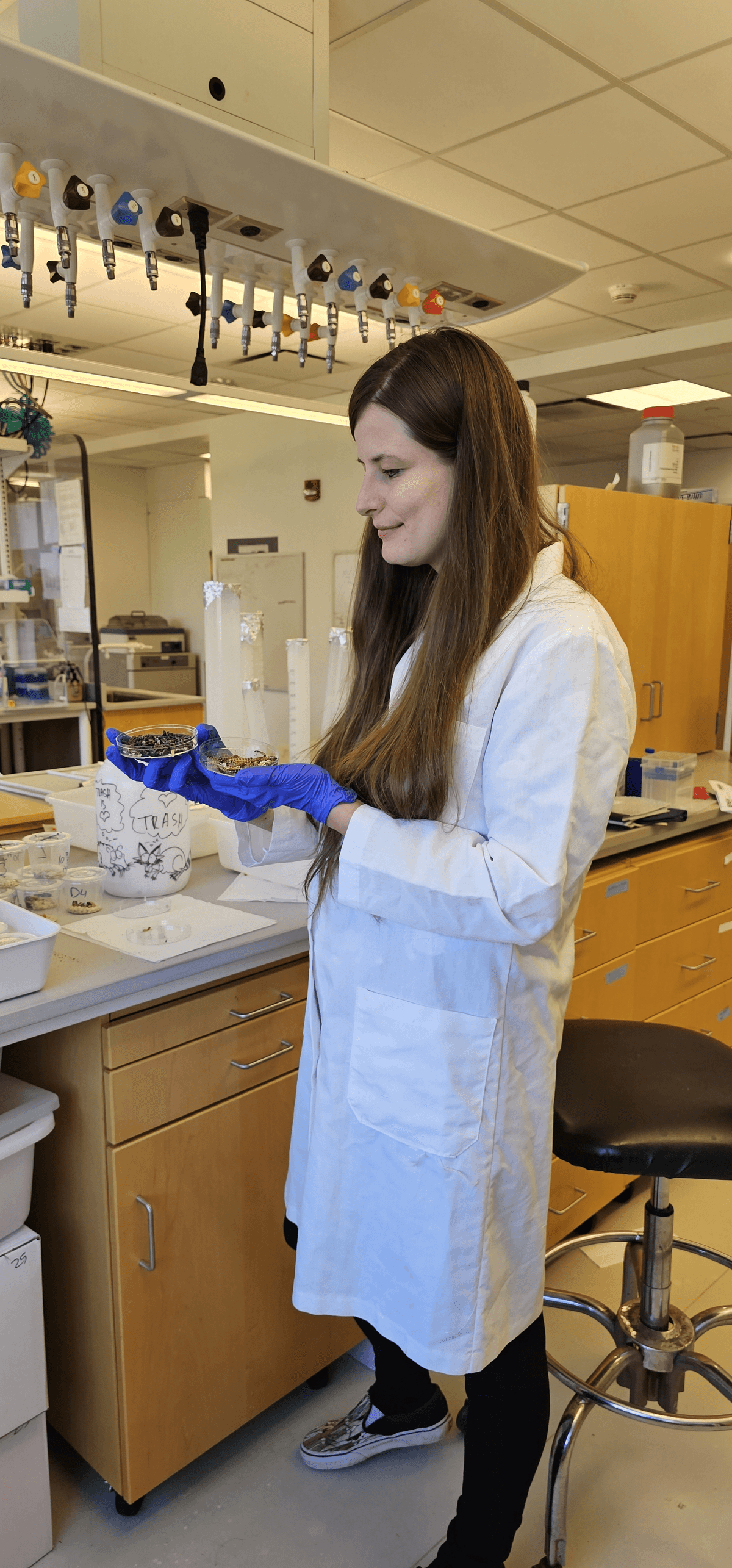 Photo of Judit Pénzes in a lab coat holding two petri dishes, one containing brown, healthy superworms and the other holding blackened, dead superworms. 