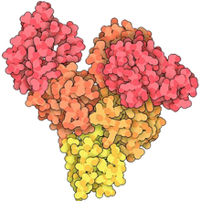 A 3D rendering of an albumin&rsquo;s protein structure.