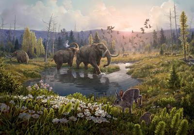 A wooded ecosystem with mammoths alongside modern species such as arctic hares