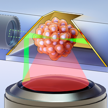 3D imaging of organoid