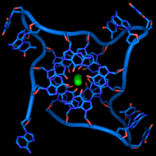 chemical visualization of a G-quadruplex